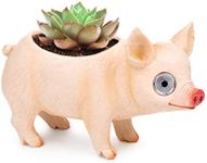 Blazin' Pig Planter | Animal Pot with Solar LED Eyes | Decor for Patio, Yard, Window or Deck | Outdoor Indoor Garden Statue | Auto On/Off (Pink)