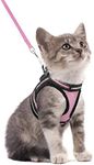 rabbitgoo Cat Harness and Leash Set