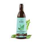 Nat Habit Sulfate-Free Natural Tri-Leaf Rosemary Hair Fall Control Shampoo, Navdha Shampoo for Women and Men (Pack of 1 X 250ml)