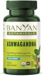 Banyan Botanicals Ashwagandha Tablets – Organic Ashwagandha Root – Renowned Herbal Adaptogen for Natural Energy Support and Stress Support* – 90 Tablets – Non-GMO Sustainably Sourced Vegan