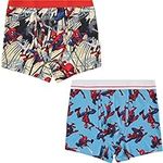 Marvel Mens Comics Boxer Briefs - Spiderman Mens Underwear - 2 Pack Boxer Briefs (Spiderman Multi, Large)