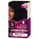 Schwarzkopf Keratin Color Permanent Hair Color Cream, 1.0 Onyx Black, 1 Count