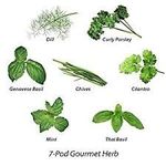 Seedscare India: Gourmet Culinary Super herb Combo-Basil, Mint, Chives, Cilantro-Coriander, Curled Parsley, Dill, Italian or Thai Basil (May Vary)-7 Packets/avg 30+ Seeds