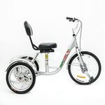 Three Wheeled Bike For Adults