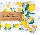 KOALAND Flour Sack Towels, Set of 3