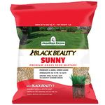 Jonathan Green Full Sun Grass Seed, 1-Pound