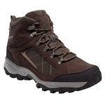 Regatta Clydebank, Mens High Rise Hiking Boots, Brown (Chestnut/Antgold), 9 (43 EU)