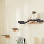 LIORCE Cat Wall Shelf with Two Step