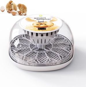 12 Eggs Automatic Digital Hatching Eggs with Fully Automatic Turner, Egg Incubator Poultry Hatching Machine with Humidity Control Automatic Water Adding for Hatching Chicken Duck Quail Bird Eggs