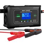 25 Amp Lithium Battery Charger, 12V and 24V Lifepo4,Lead-Acid(AGM/Gel/SLA..) Battery Charger,Battery Maintainer, Trickle Charger, and Battery Desulfator for Car,Boat,Motorcycle, Lawn Mower…