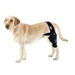 Dog Knee Brace for Back Leg, Dog Elbow Brace Protector Pads for Support with Cruciate Ligament Injury, Dysplasia, Osteoarthritis, Dog Leg Braces Adjustable Dog Rear Leg Braces (L)