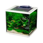 Interpet Aqua Cube Glass Fish Tank Aquarium with Integrated LED Lighting and Easy Care Filter, 28L, Clear/White