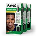Just For Men Shampoo-In Color (Form