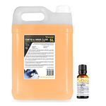 beamz 5 Litre Eco Smoke Machine Fluid Orange with Energizer Scent Fragrance 30ml