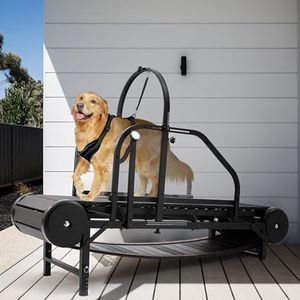 Dog Treadm