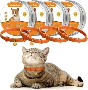 Cat Calming Collar-4 PCS for Indoor,Anti Anxiety - Cat Stress and Anxiety Relief, pheromone Collar Comfort Long-Lasting,Natural Accessory Collar-for Vet Outdoor(Orange)