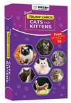 Kaizen MicroLessons Smart Cards. (Trumps: Cats)