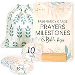 Lumont Pregnancy Journal Milestones Markers Discs Signs 8-40 Weeks and Pregnancy Prayer Cards, Pregnancy Must Haves, Weekly Baby Bump Tracker, Photo Prop Cards Gifts for First Time Moms