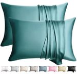 WLOSJ 100% Silk Pillow Cases 2 Pack King Size Mulberry Silk Pillowcase for Hair and Skin Highest Grade 6A Silk Soft Breathable Cooling with Hidden Zipper Set of 2, Teal