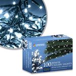 White Christmas Lights Bulk