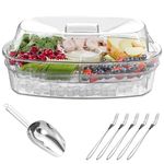 Newbro Chilled Serving Platters and Trays for Entertaining, Veggie Tray with Lid and Ice Scoop, Cold Shrimp Cocktail Serving Dishes Party Travel Cookout Tailgate Essentials, Appetizer Fruit Snack Tray