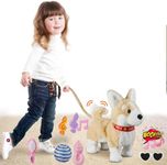 HCdoujoy Corgi Walking Dog Barking Toy, Musical Singing Dancing Dog, Volume Control Interactive Puppy Walk Along with Leash, Wagging Tail Shaking Head, Electronic Dog Stuffed Animal Puppy for Kid