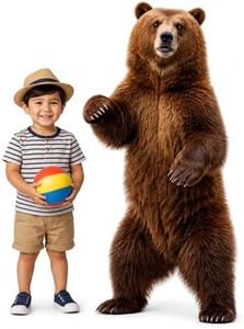 Brown Bear Cardboard Cutout Life-Size Animal Cutout Realistic Forest Wildlife Photo Booth Prop Decor for Parties, (Brown Bear Cardboard Cutout)