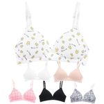 Alyce Intimates Girls, Teens & Petite Women Lightly Padded Bra, Pack of 6 – Everyday Soft, Underwire T-Shirt Bra, Solids & Prints, 30A