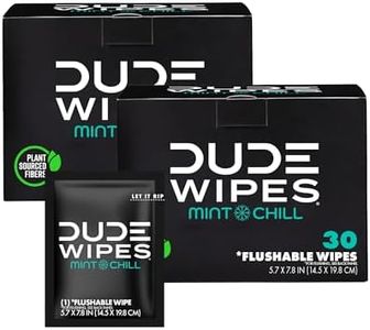 DUDE Wipes Flushable Wipes, Individually Wrapped Wet Wipes for Travel, Mint Chill Scent with Vitamin-E and Aloe, 30 On-The-Go singles 48 Count (Pack of 2)