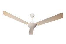 LG Living Room Fans