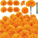 Veramz 50Pcs Marigold Flowers Dia D