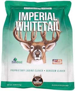 Whitetail 