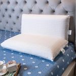 ORGANIC SLEEP Standard Pincore Pillow, 100% Natural Latex, Size 27x15x5 Inch, Pack of 2 with 100% Natural Cotton Cover, Pincore Technology & Bounce Back Property, Breathable, Supportive, Density 45