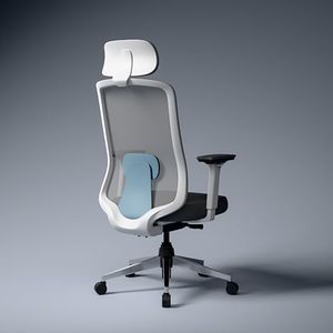 Green Soul Cosmos Superb | Premium Minimal Design Ergonomic Office Chair for Work | 5 Year Warranty | Intelli-Adapt Recline Mechanism | 3D Armrest | Adjustable Lumbar | White Blue