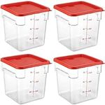 CURTA 4 Pack Food Storage Container
