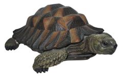 Vivid Arts Ltd Natures Friends Size B Tortoise