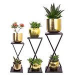 EDEN-ADINA Z Style Planter Stand Metal Flowerpot Stand Home Decor Home Decoration Garden Decoration Plants Pot Holding Iron Black Modern