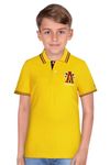 Allen Solly Junior Boy's Polo (ABKPCRGFX95087_Yellow), 13 years-14 years