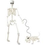 Skeleton Halloween Decor with Dog Skeleton: 5.4Ft Posable Life Size Skeleton - Plastic Realistic Human Full Body Bones with Movable Joints for Halloween Party Haunted House Props Indoor Outdoor Decor