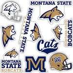 Montana State University NCAA Sticker Vinyl Decal Laptop Water Bottle Car Scrapbook (Sheet - Type 2)