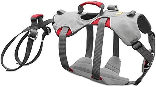 Ruffwear Kletter-Hundegeschirr, Mittelgroße Hunderassen, Größenverstellbar, Größe: M, Grau, Doubleback Geschirr, 30301-045M