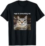 Rage Is Consuming Me Silly Staring Cat Meme T-Shirt