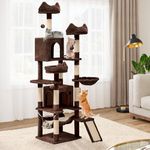 DWVO Tall Cat Tree for Indoor Cats, 75 inches Multi-Level Cat Tower with Sisal Scratching Posts & Ramp, Plush Perches, Hammock, Spacious Condos, Cat Activity Center for Kittens,Brown