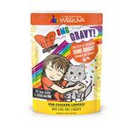 Best Feline Friend 13701620 BFF OMG Chicken & Salmon Shine Bright, 12/2.8 oz Pouch, 2.8 oz 1 Count