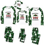 Uillui Family Christmas Pajamas for Family Christmas Pjs Matching Sets Christmas Tree Pjs Holiday Home Xmas Loungewear Set, A03#green, 3-4T