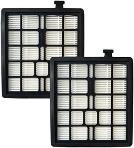 Crucial Vacuum Replacement Vacuum Filter - Compatible with Dirt Devil Part # F45 - Fits Models Pets Canister SD40000, EZ Lite Canister SD40010, Parts 2KQ0107000 2-KQ0107-000 F-45 (2 Pack)
