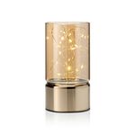 Auraglow Wire Rice Light, Glass Cylinder Battery Lantern - Warm LEDs, In-built Timer Option - Indoor Fairy String Lamp for Decorative Home Decor - (Small)