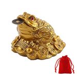 WUWYOUWL Lucky Frog Coin, Feng Shui Toad Coin Money Lucky Frog Chinese Charm for Prosperity Home Decoration Gift with A Lucky Bag