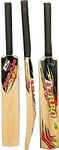 ND Sports Opener Kashmir Willow Cricket Bat, Size 3