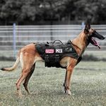 PETAC GEAR Tactical Dog Harness No Pull for Large Working Dogs Military Dogs Vest Police Service Training Dogs Molle Harnesses with Handle … … (BK, L)